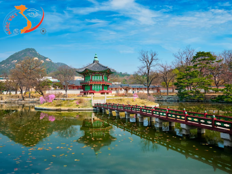 TOUR BUSAN – DAEGU - SEOUL