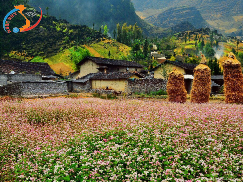 TOUR CAO BẰNG - BẮC CẠN - HÀ GIANG 5 Ngày 4 Đêm