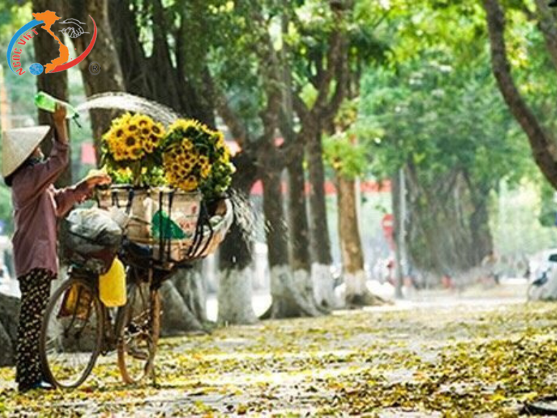 TOUR HÀ NỘI – NINH BÌNH – HẠ LONG – YÊN TỬ 4 NGÀY 3 ĐÊM