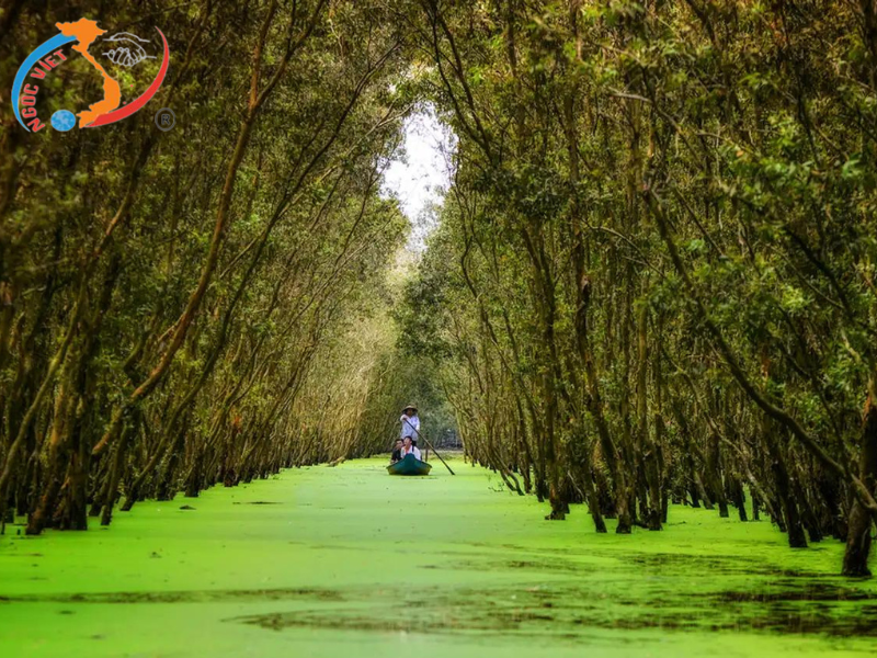 TOUR CHÂU ĐỐC - TRÀ SƯ - CẦN THƠ 3 Ngày 2 Đêm