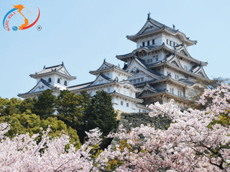 TOUR KHÁM PHÁ TOKYO - YAMANASHI - NÚI PHÚ SĨ - AEON MALL NARITA