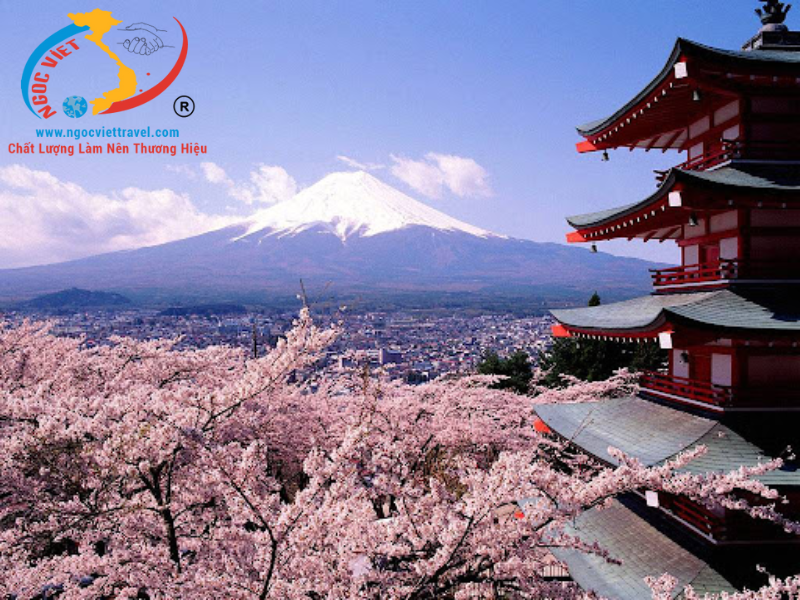 TOUR OSAKA – KYOTO –  NAGOYA – YAMANASHI - TOKYO - KHÁM PHÁ CUNG ĐƯỜNG VÀNG