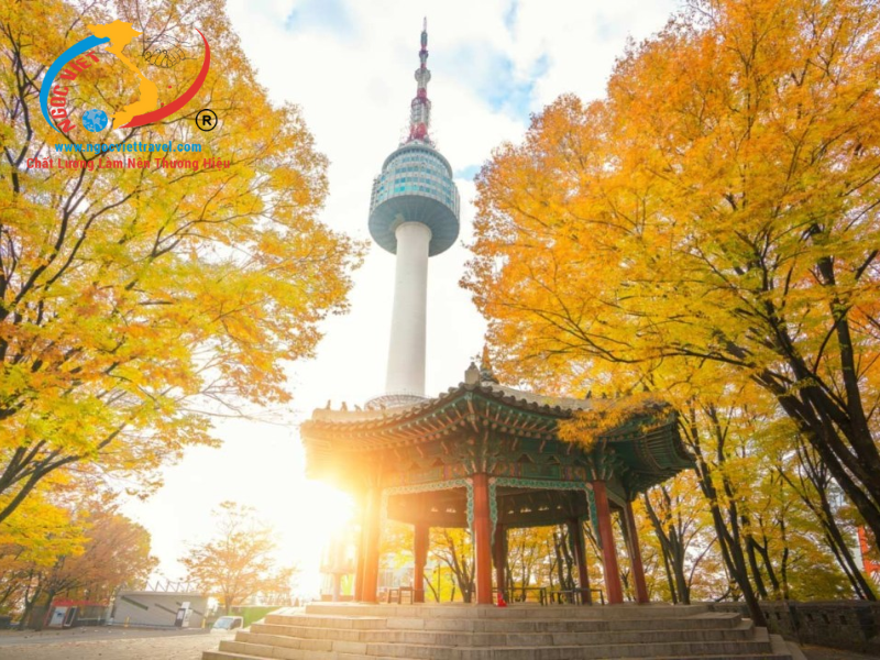 TOUR HÀN QUỐC SEOUL - NAMI 5N4Đ