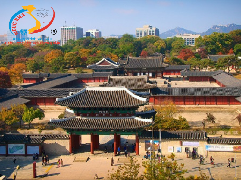 TOUR BUSAN - SEOUL THU 2024