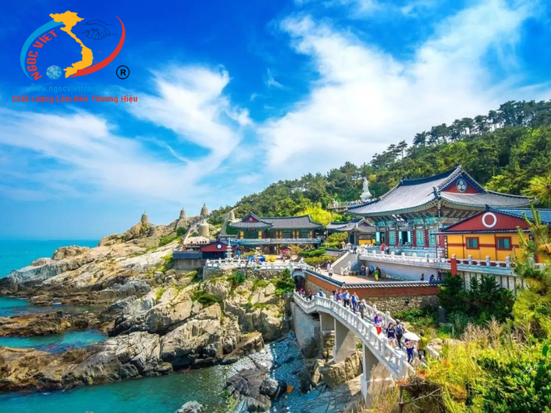 TOUR BUSAN - SEOUL THU 2024