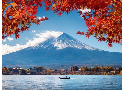 TOUR OSAKA - KYOTO - YAMANASHI - TOKYO - LỄ HỘI HOA CHI ANH